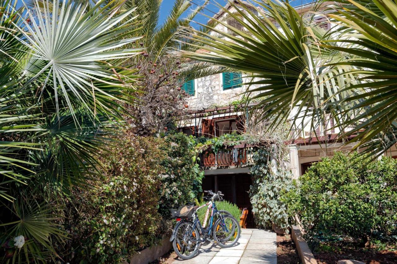 House Darina Holiday home
